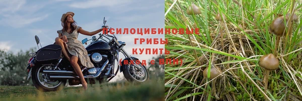 хмурый Алексеевка